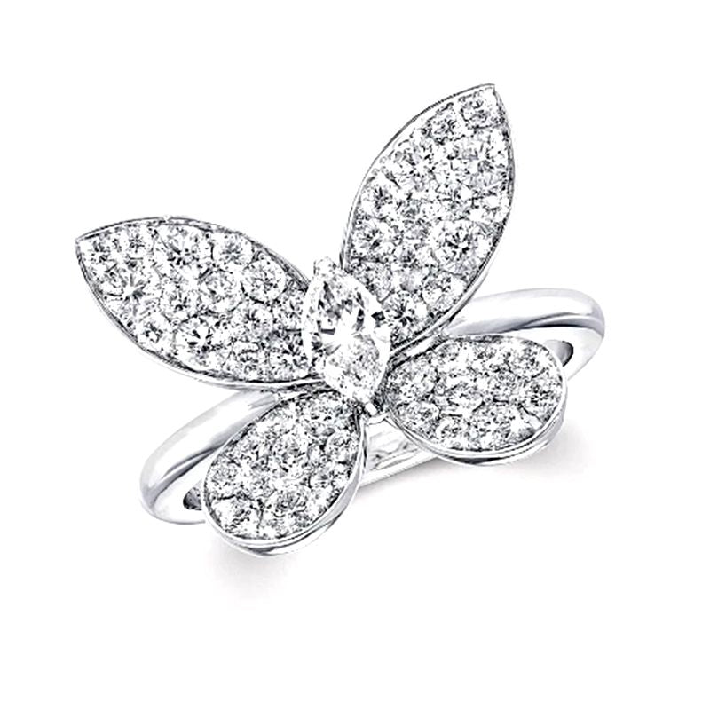 Papillon
