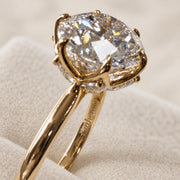 Olivia's Ovation — Diamond Detail