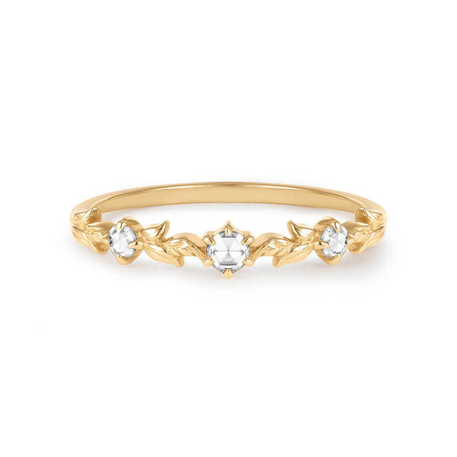 Aurelia Promise