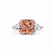 Blush Radiance on a white background
