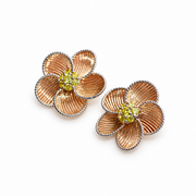 Sunbeam Studs on a white background