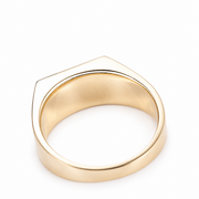 Twin Flame on a white background
