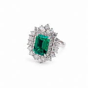 Verdant Crown on a white background