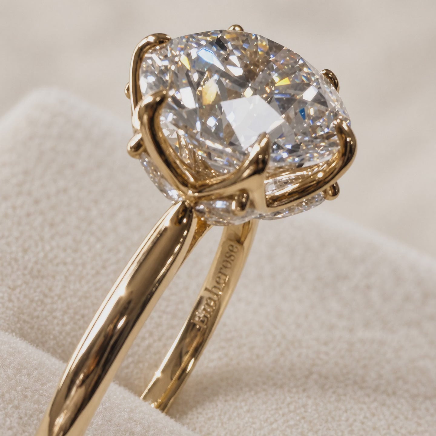 Olivia's Ovation — diamond light study